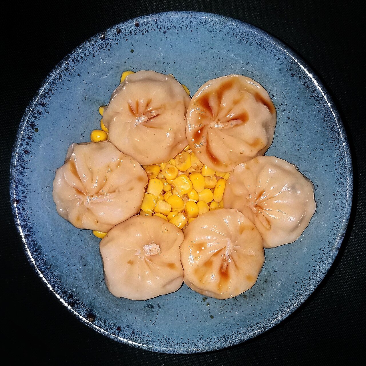 Representative photograph of chicken dumplings